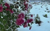 Unutulmayan yabancı slow şarkılar 2017 en iyi en güzel en yeni duygusal slow şarkılar müzikler 3