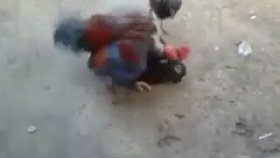 Kediye Tecavüz Eden Horoz
