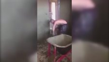 Mala Vurmayı Başka Boyuta Taşıyan Sıvacı