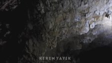 Kış Uykusuna Yatan Ayıya Saldırmak (Türkiye)