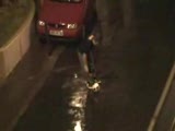 Remi Gaillard