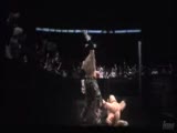 Smackdown Vs Raw 2009 Tagteatm