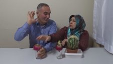 Kaktüs Üzerine Oturma Çelınç