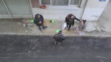 Kedi Besleyen Amcaya Saldıran Kadın