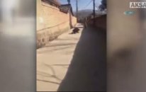 Bu Şaka İnsanı Çileden Çıkarır