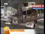 11. katta inek besleyen adam