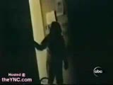 Korkutucu Şakalar