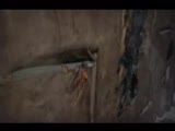 Prince Of Persia 4