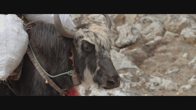 L'ascension (2017) Fragman