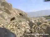 patlama arıları delirtti