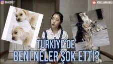 Ülkemize Yerleşen ve En Çok Nelerden Şoke Olduğunu Anlatan Koreli Kadın