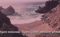 Alanis Morissette - Ironic (Türkçe Çeviri)