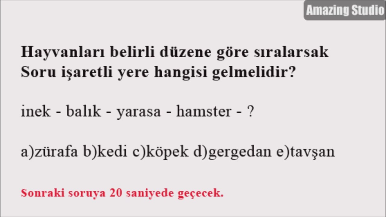 Zeka Testi Ne Zaman Yapılır Zeka Testi Ne Zaman Yapılır