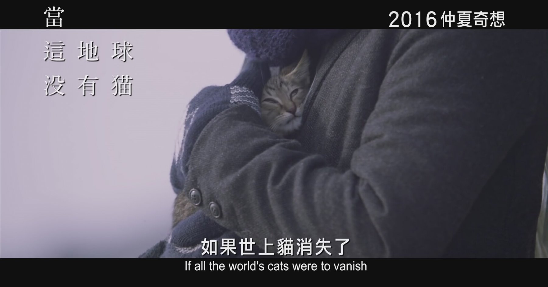 if cats disappeared from the world book