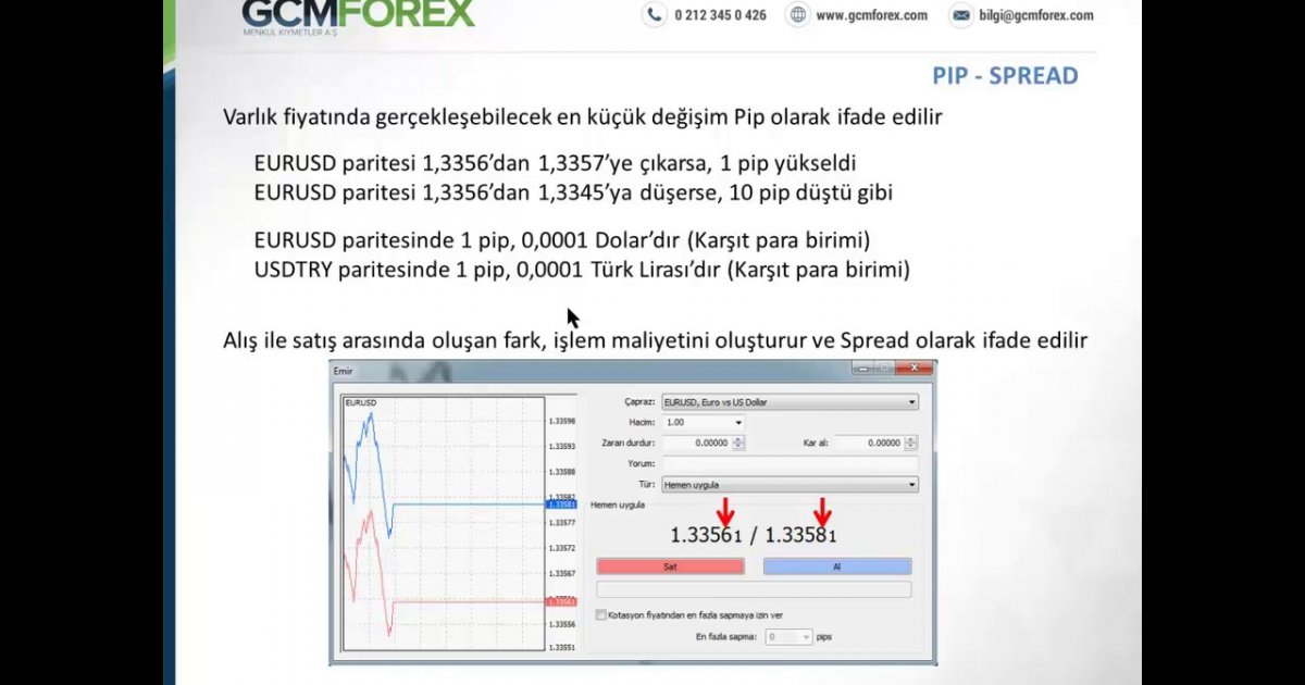 Forex 1 pip nedir
