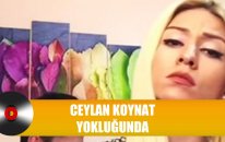 Ceylan Koynat - Leyla the Band ( Yokluğunda )