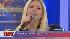 Ceylan Koynat - Bir Bilebilsen (Canlı Performans)
