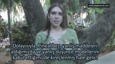Sodyum Florürün Beynimize Olan Zararları
