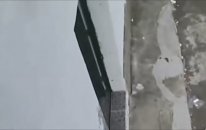 Komik Boğa Saldırıları Kızgın ve Öfkeli Boğalar