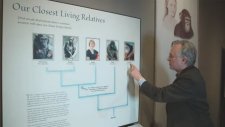 Richard Dawkins Evrim Varsa Neden Hâlâ Maymunlar Var ?