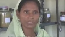 Uttar Pradesh Muslıms Unıted Under Bsp Agaınst Modı