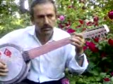 Hastane Önünde İncir Ağacı Aşık Mustafa Yaman