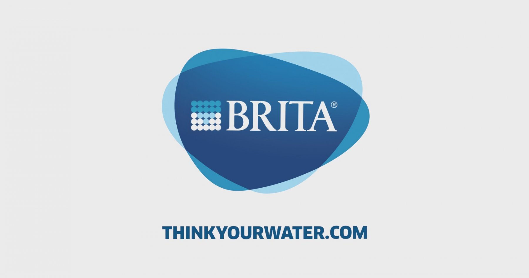 Purity steam brita фото 110