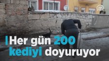 KEDİLERİ BESLEYEN GENÇTEN ÖRNEK ALINACAK BİR DAVRANIŞ HAYVANLARI DIŞLAMAYIN BAKIN BESLEYİN SEVİN