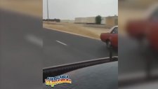Ne Yaptığı Belli Olmayan Ama İyi Yapan Manyak Sürücü