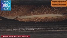 Gevrek Simitli Tost Nasıl Yapılır?