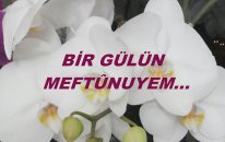 Bir Gülün Meftûnuyem...