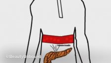 Why you got fat Most people don't know this