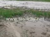 taşlıçayda sel