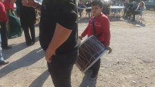 Antalya Orkestra Davul Zurna Ekibi 0541 212 01 19