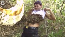 Arılara Fısıldayan Adam