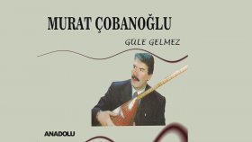Murat Çobanoğlu - Ben Dememişem