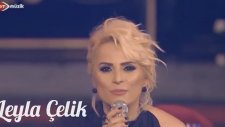 Ayşen Birgör-Nar Danesi?