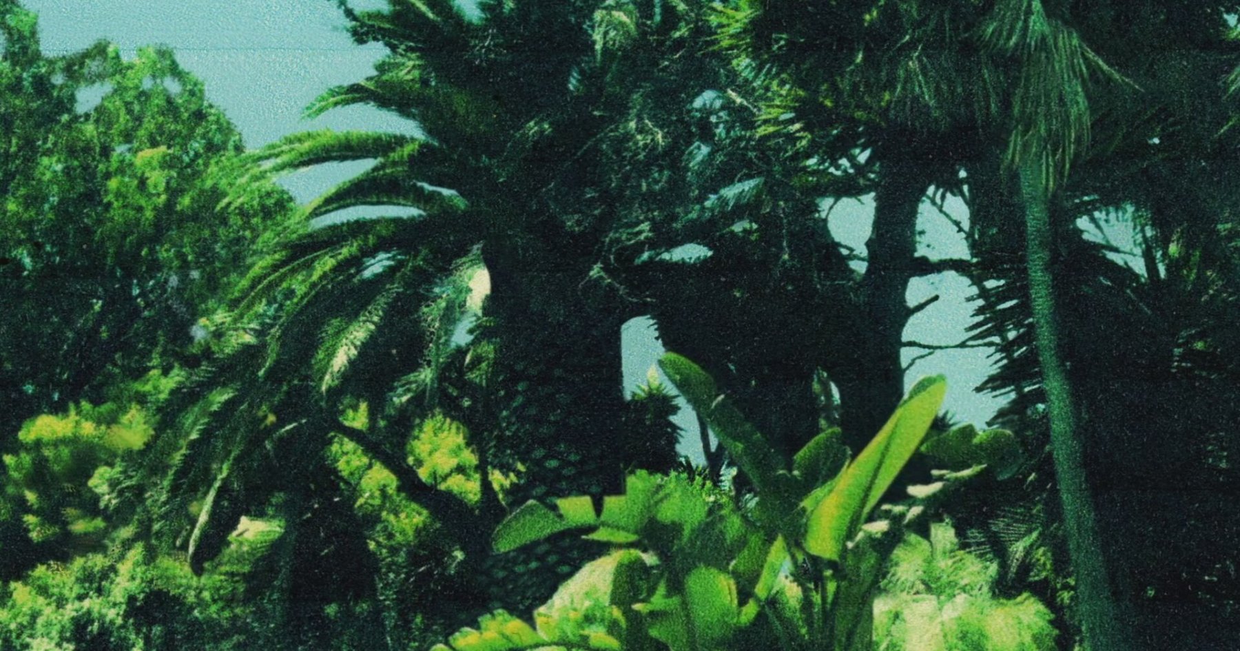 Calvin Harris - Slide Ft. Frank Ocean & Migos Mp3 Calvin Harris ft. Frank Ocean & Migos - Slide | İzlesene.com