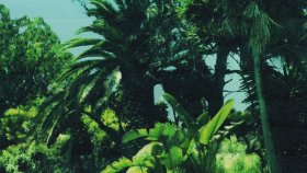 Calvin Harris - Ft. Frank Ocean Calvin Harris - Ft. Frank Ocean
