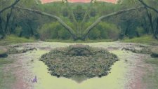 Coldplay - Hypnotised