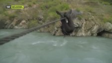 İnsan doğaya karşı Yeni Zelanda Bear Grylls HD