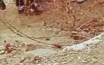 Periscope İfsa 3 Kızı İnsaata Götürüyor MUTLAKA İZLE