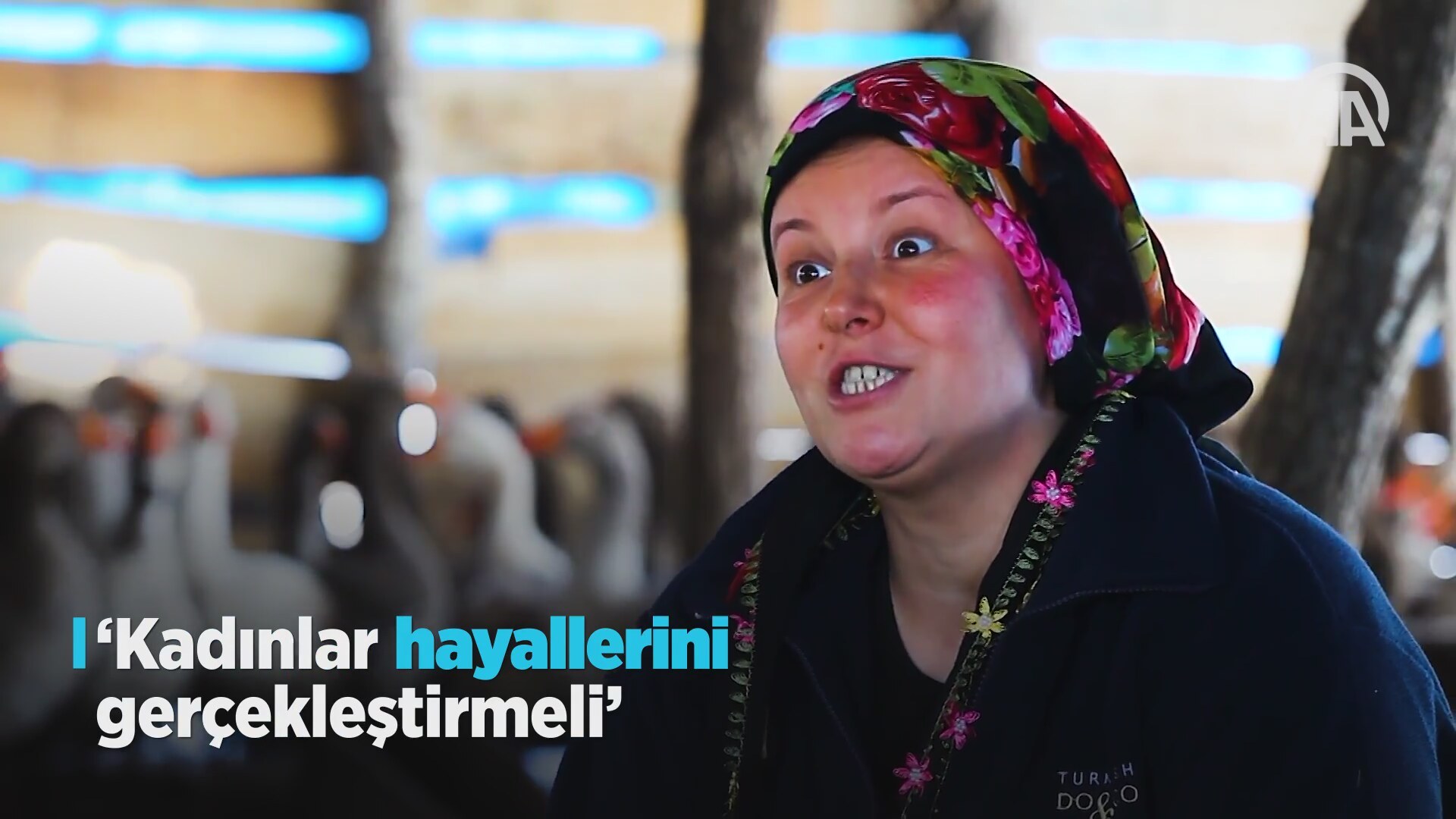Köye gelin geldi, patron oldu Köye gelin geldi, patron oldu