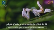rabb teaalaa en güzel yaratıcıdır dünyaada kibirlenen zalimler kaafirler ise birsinek dahi yaratamaz