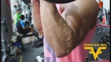 Fernando Valdez World İle Biceps Ve Triceps Çalışması