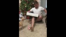 Psikopat Kedi, Noel Ruhuna Karşı
