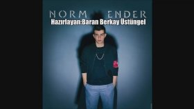 Norm Ender - Aura Norm Ender - Aura