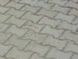 Kedi Kandırmaca