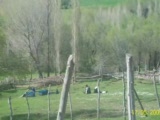 Sivas-Yıldızeli-Subaşı Köyü