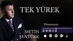 Metin Şentürk - Dönemezsin Metin Şentürk - Dönemezsin
